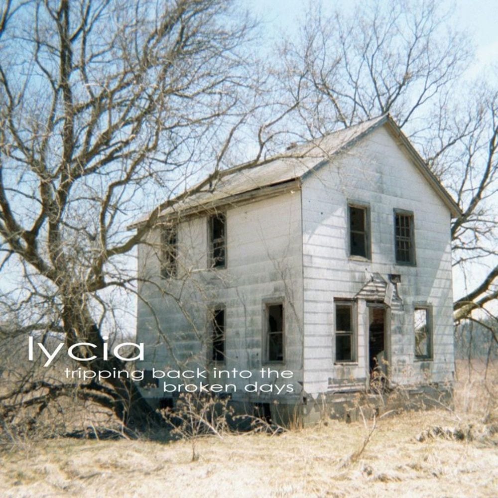 Tripping Back Into the Broken Days cover