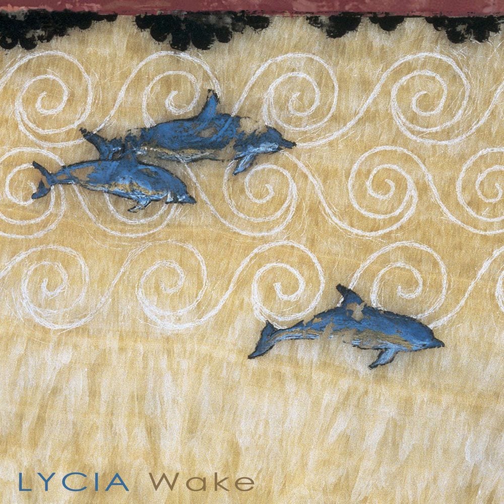 Wake cover