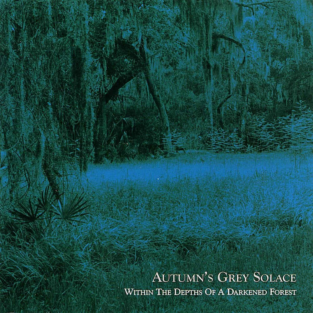 Within The Depths Of A Darkened Forest cover