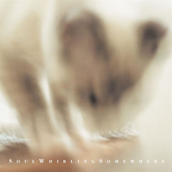 Pyewackit cover