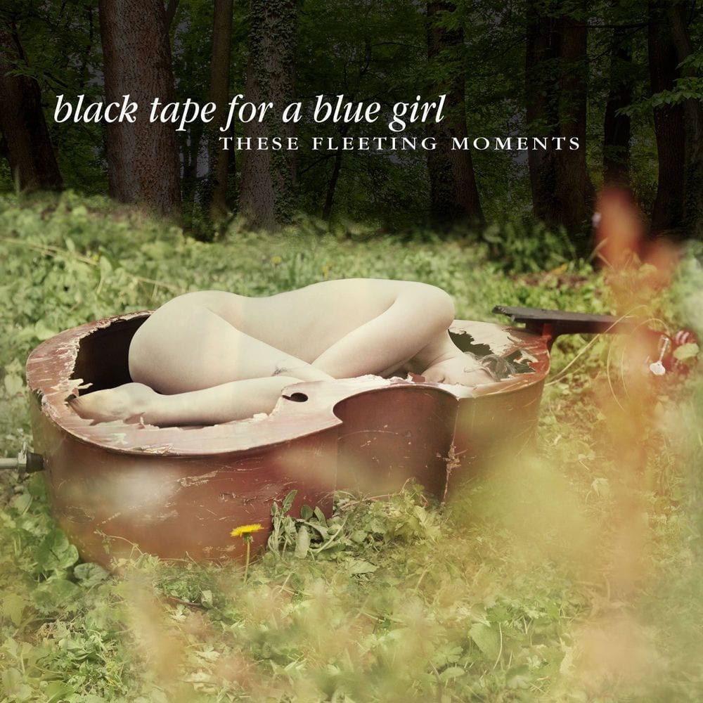 These Fleeting Moments (Deluxe Edition) cover