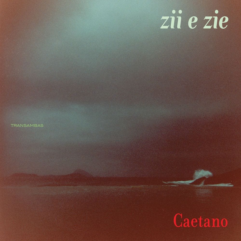 Zii & Zie cover
