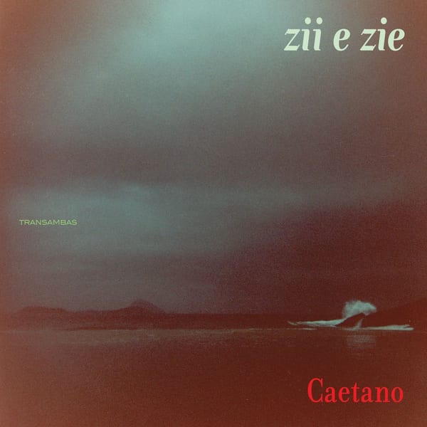 Zii & Zie album cover