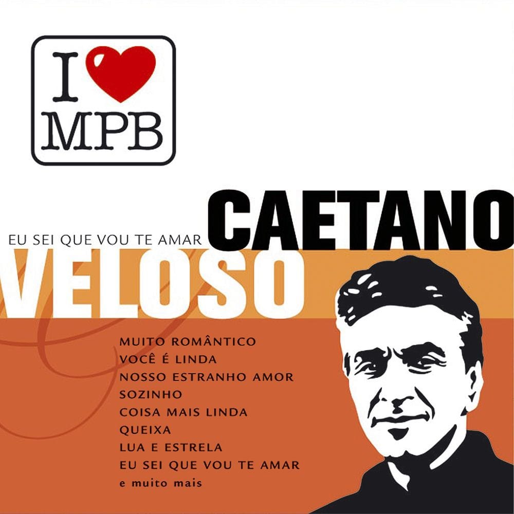 Eu Sei Que Vou Te Amar cover