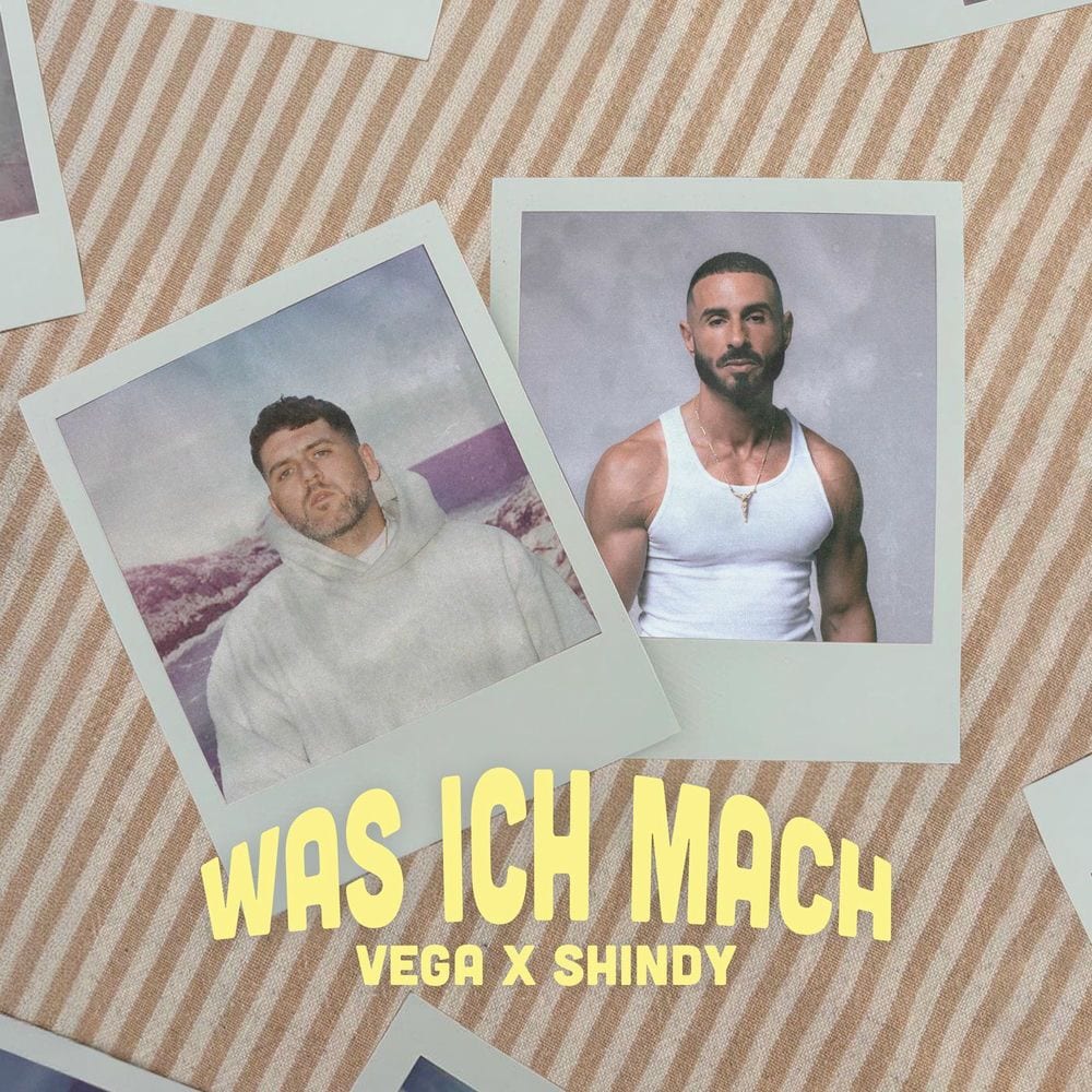 Was ich mach cover