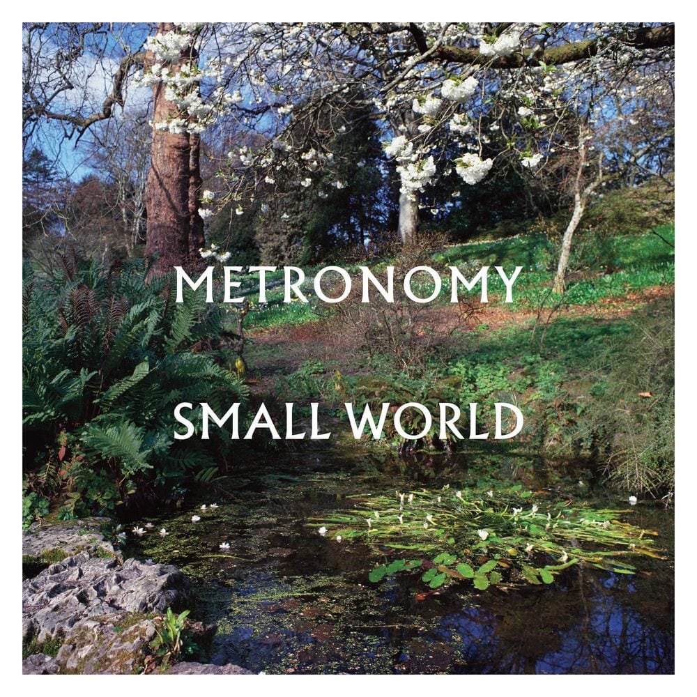 Small World cover