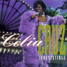 Irresistible album cover