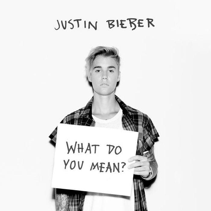 What Do You Mean cover