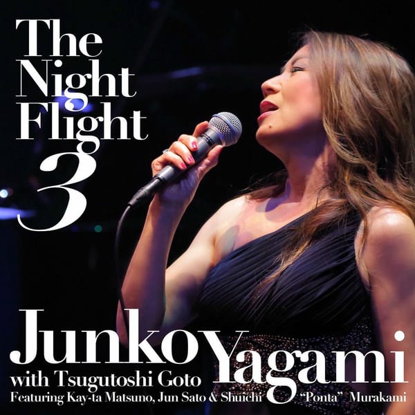 The Night Flight 3 album cover