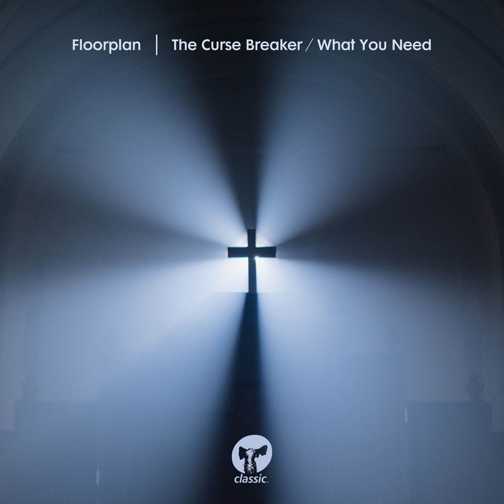 The Curse Breaker / What You Need cover
