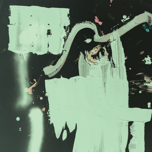 The Destroyer — 2 album cover