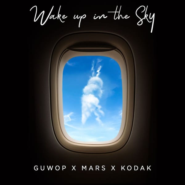 Wake Up in the Sky cover