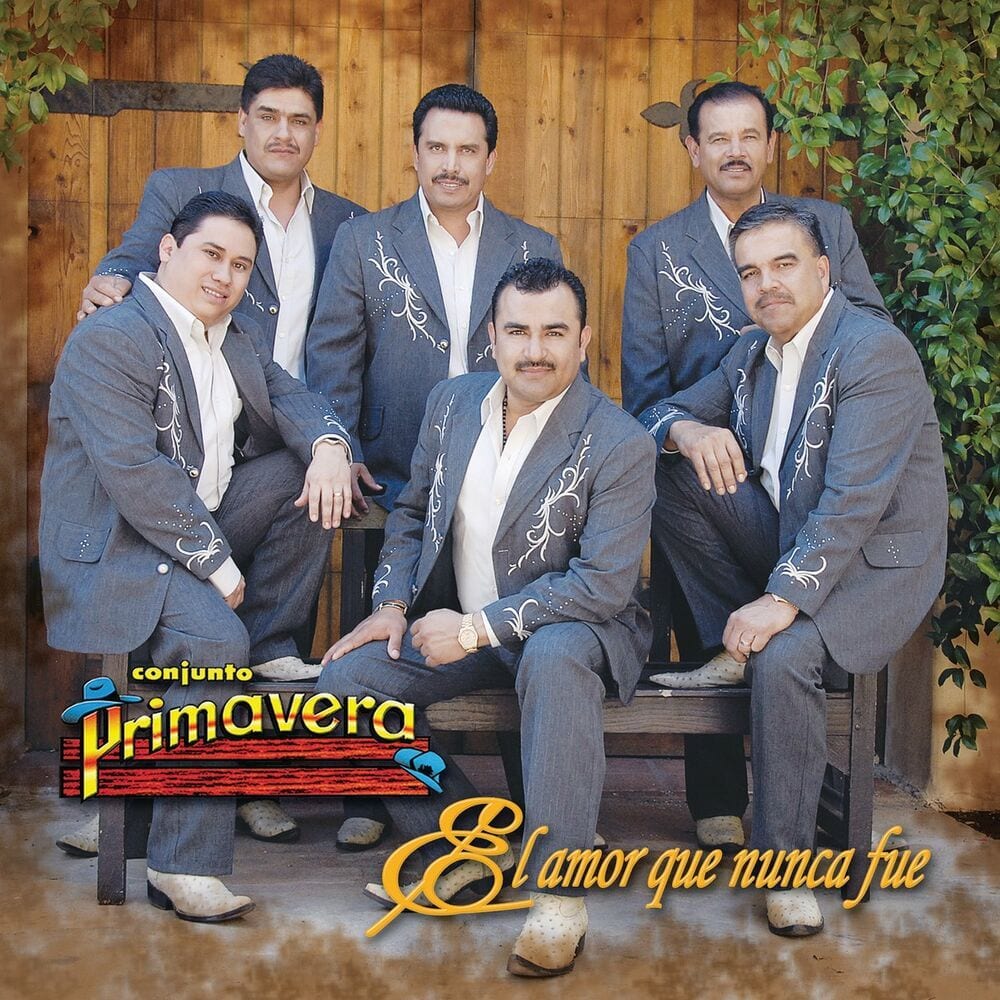 El amor que nunca fue cover