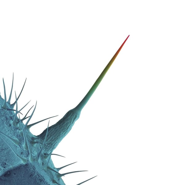 And I'll Scratch Yours album cover