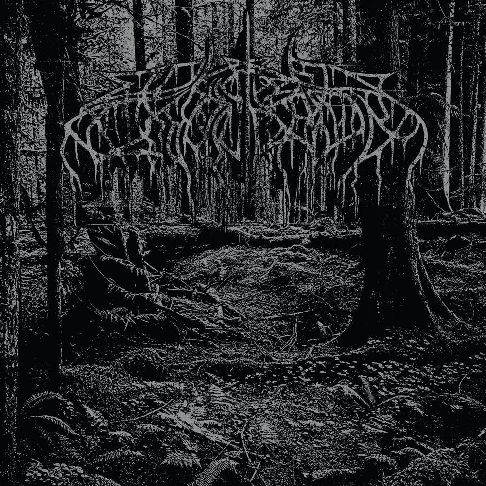 2005 Demo album cover