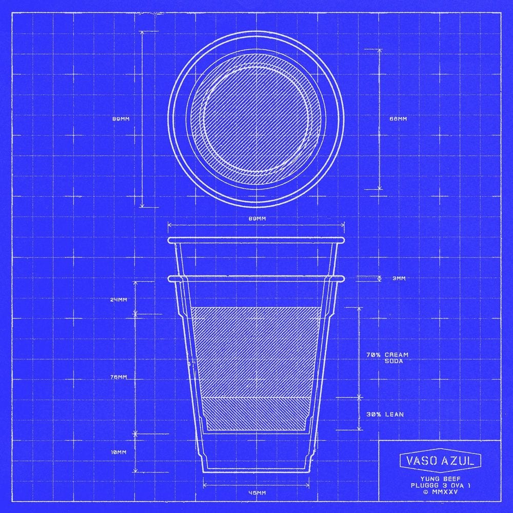 VASO AZUL cover