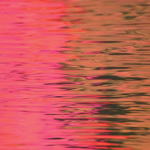 Dead Reflection cover