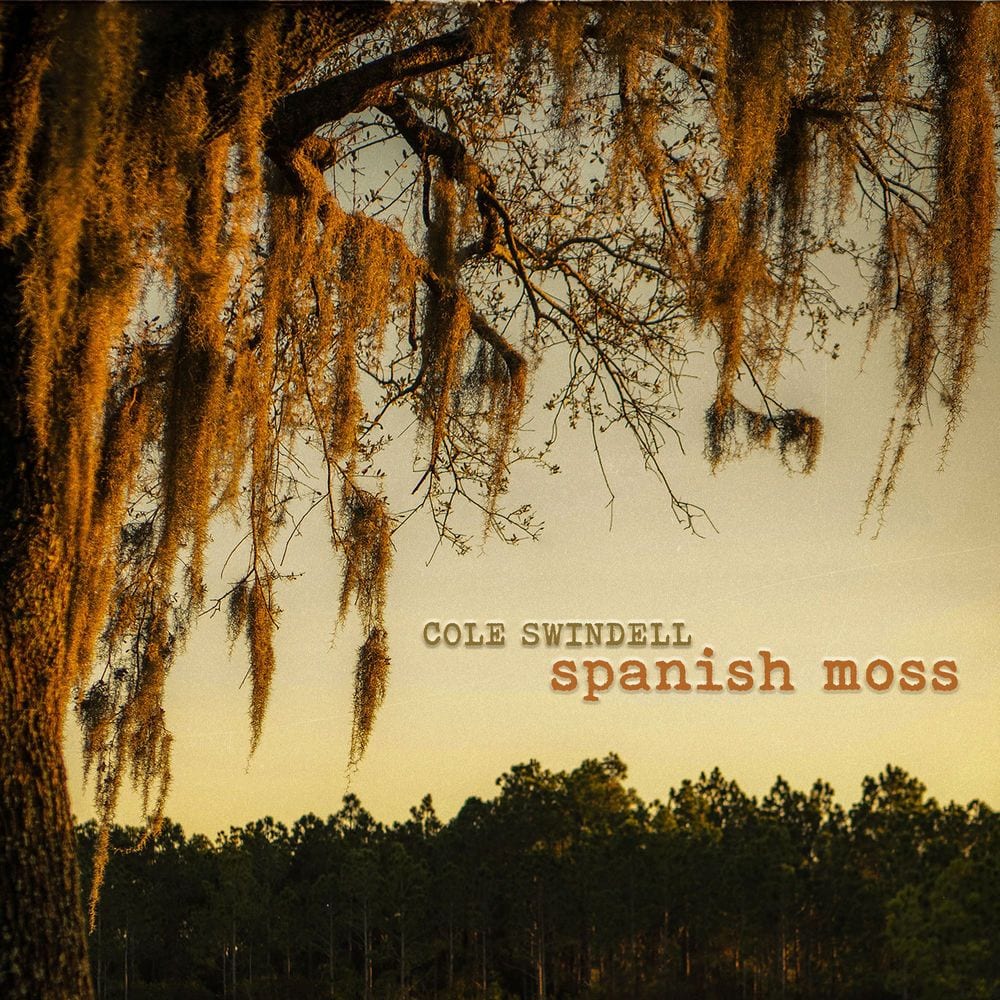 Spanish Moss cover