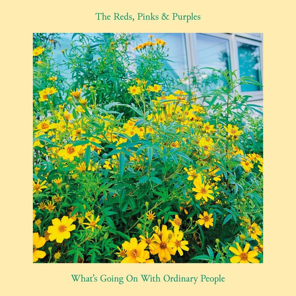 What's Going On With Ordinary People cover