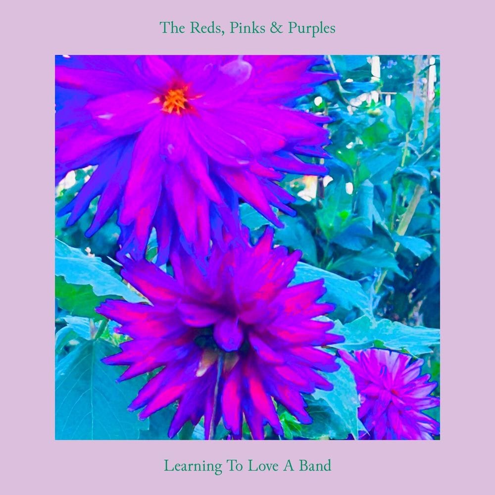 Learning To Love A Band cover