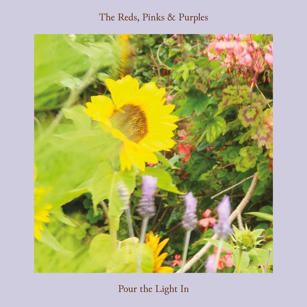 Pour the Light In cover