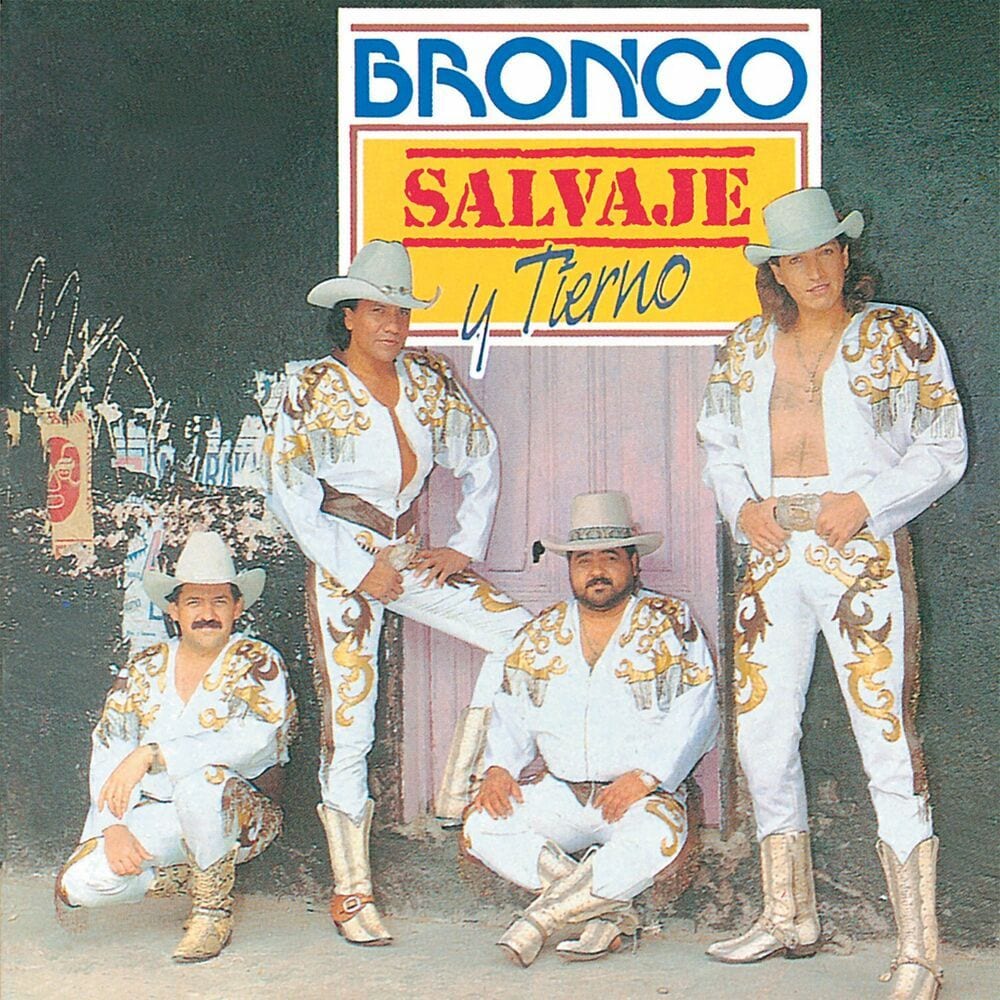 Salvaje y tierno cover