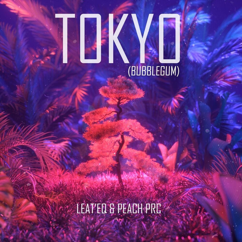 Tokyo (Bubblegum) cover