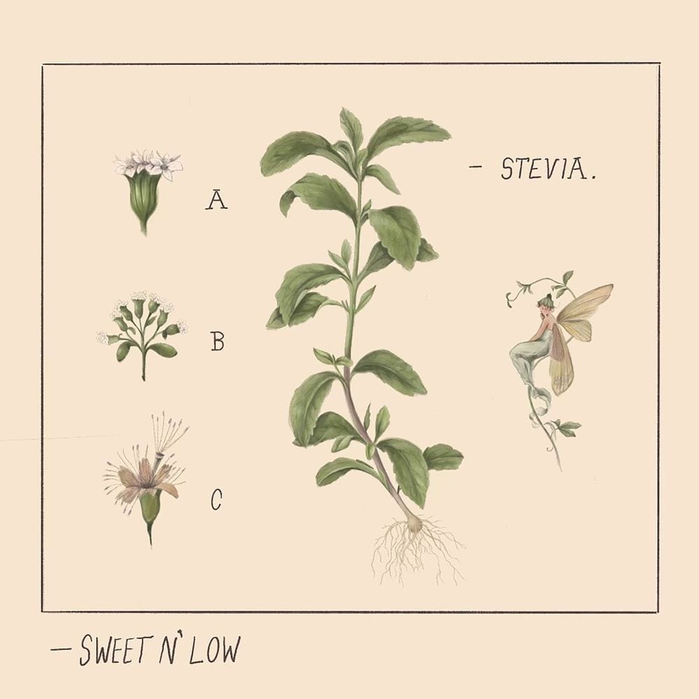 Sweet n’ Low cover