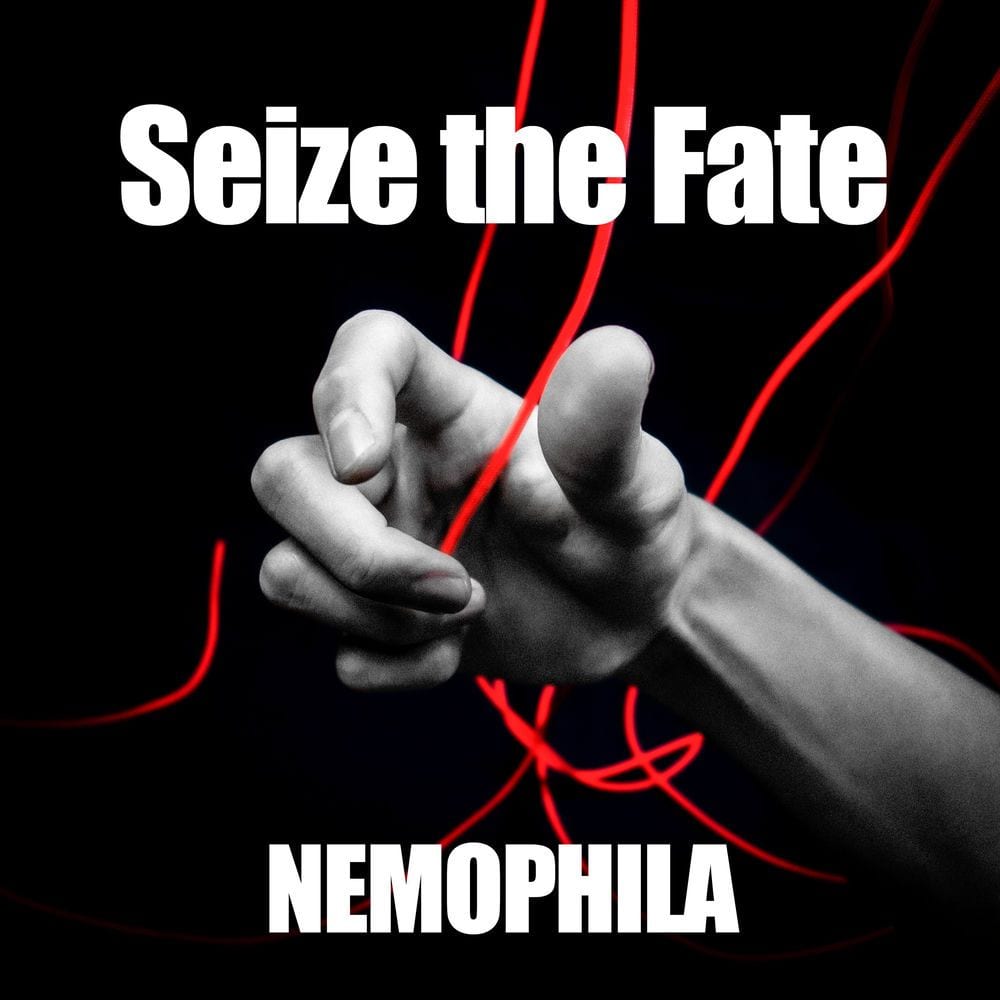 Seize the Fate cover
