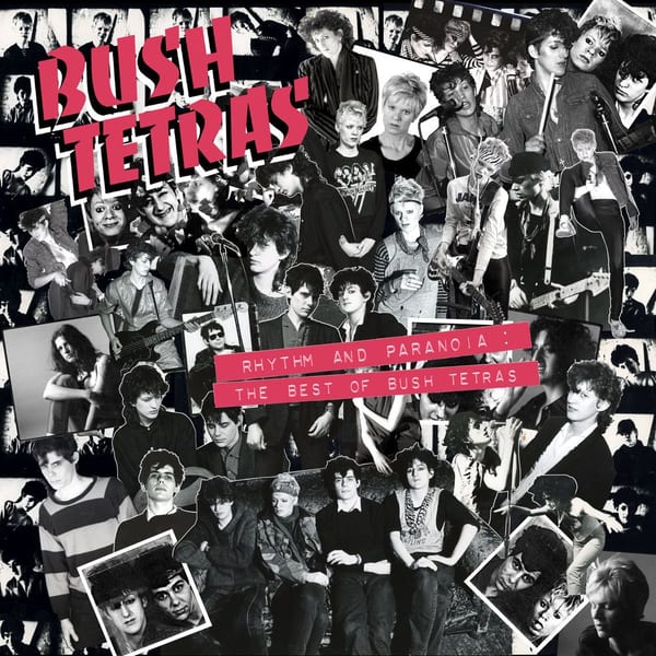Rhythm and Paranoia: The Best of Bush Tetras album cover