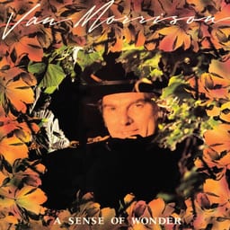 A Sense of Wonder album cover