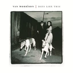 Days Like This album cover