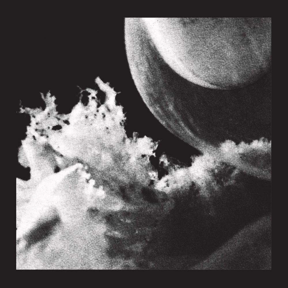 Embryo cover