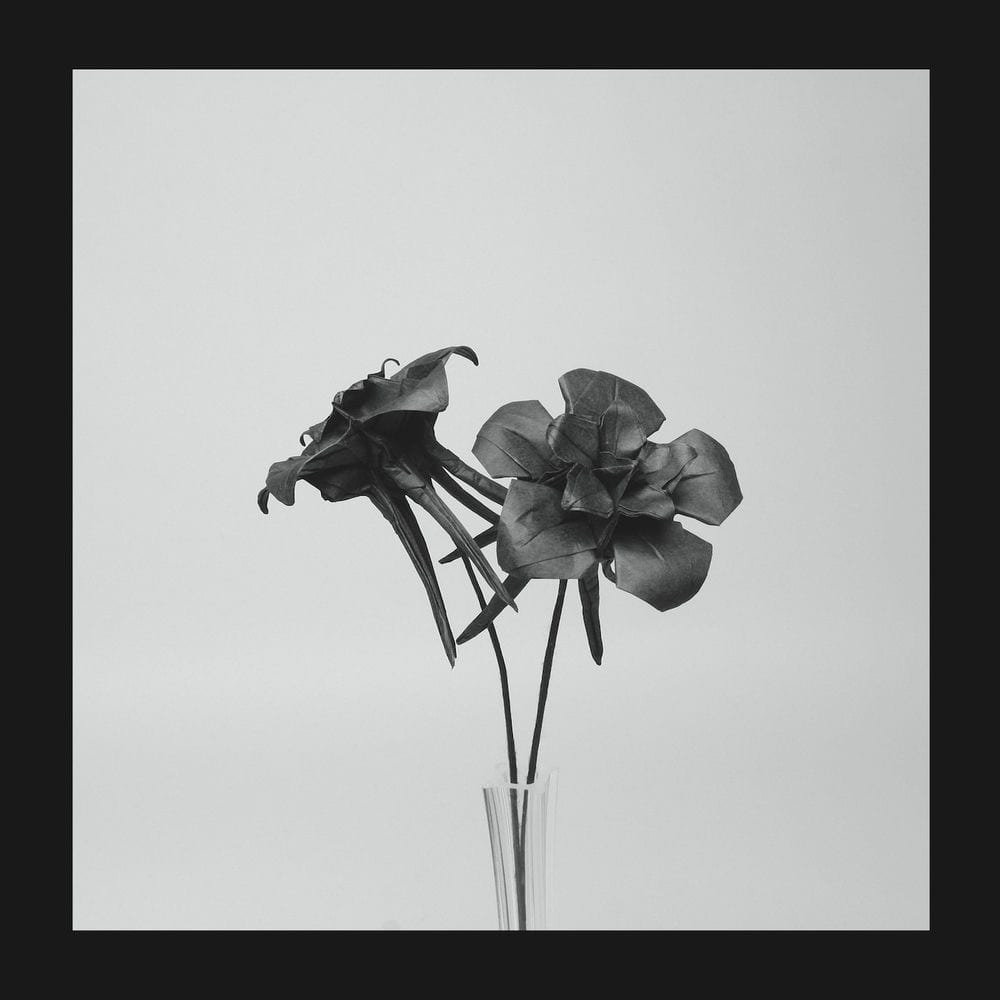 Dark Lotus cover