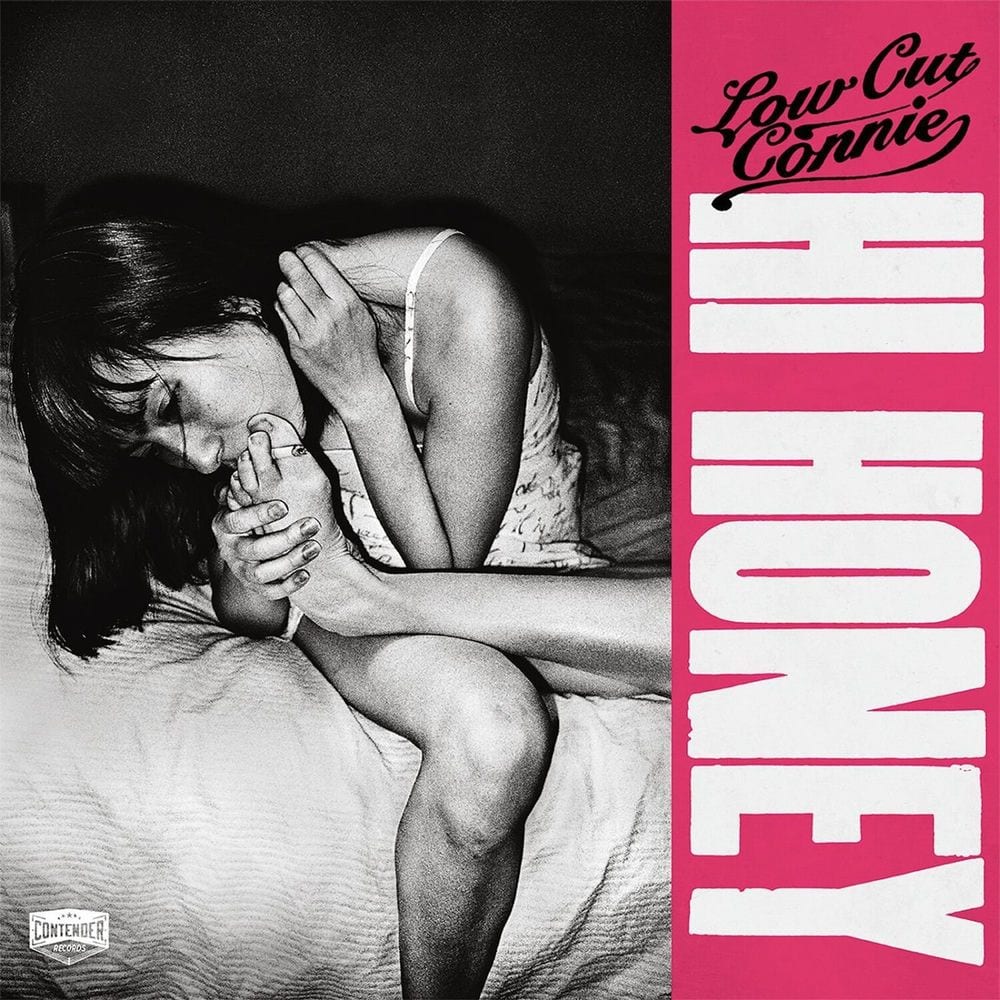 Hi Honey cover