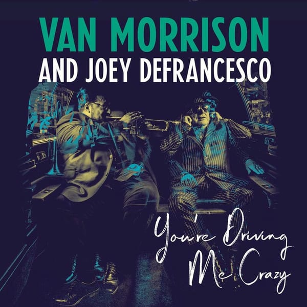 You're Driving Me Crazy cover