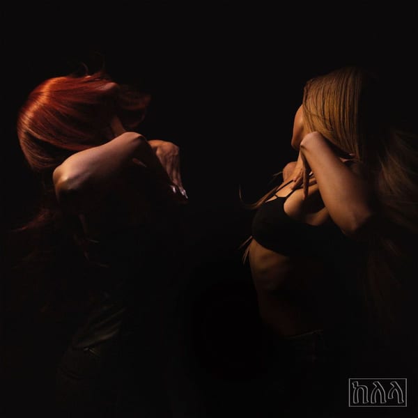 the bridge cover