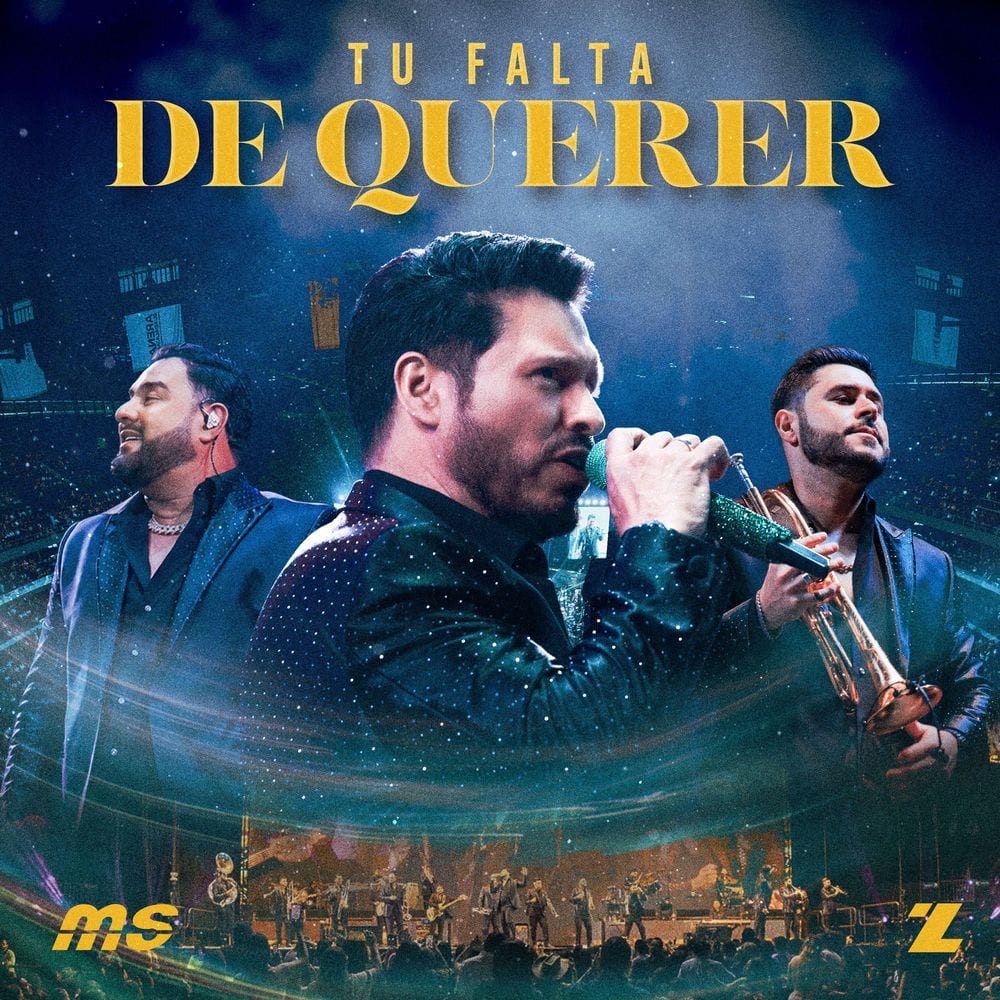 Tu Falta De Querer cover