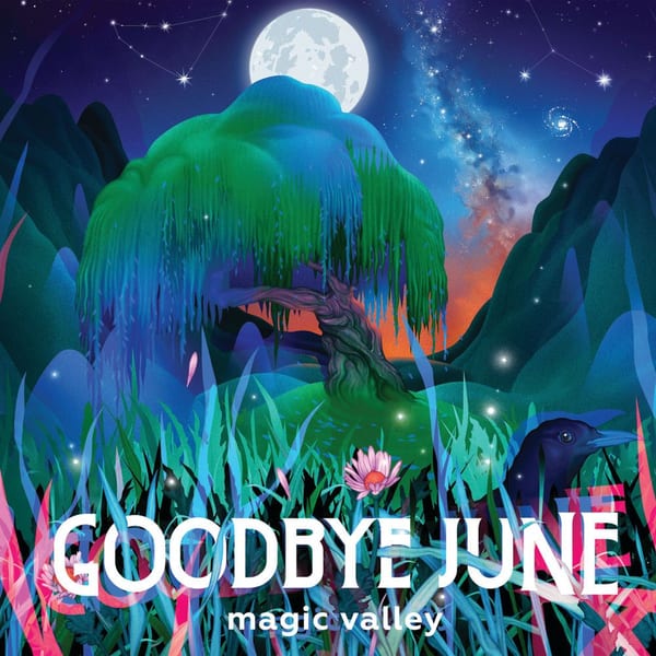 Magic Valley cover