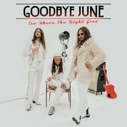 See Where the Night Goes album cover