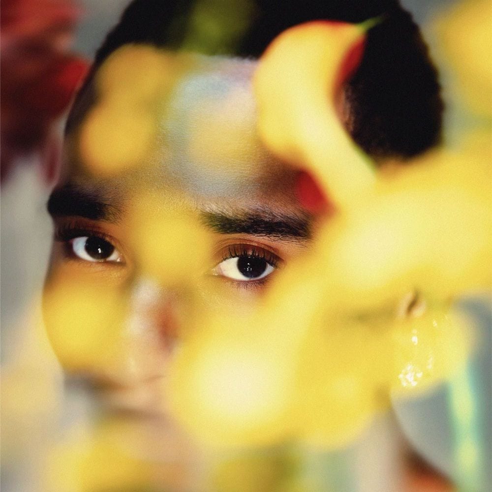 BLOOM cover
