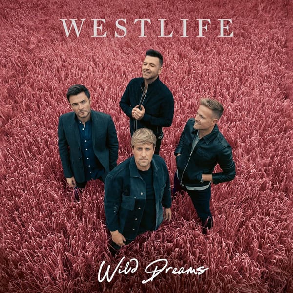 Wild Dreams cover