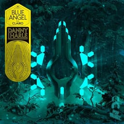 Blue Angel album cover