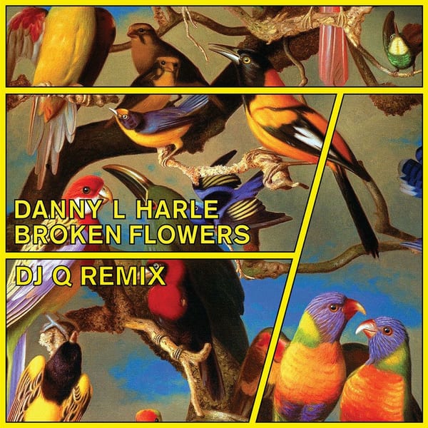 Broken Flowers (DJ Q Remix) cover