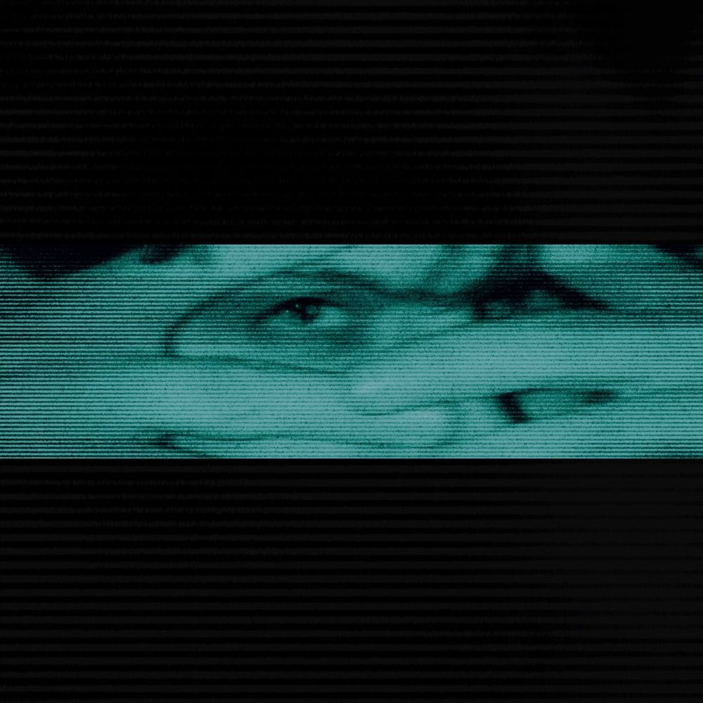 THROUGH BLINDS cover