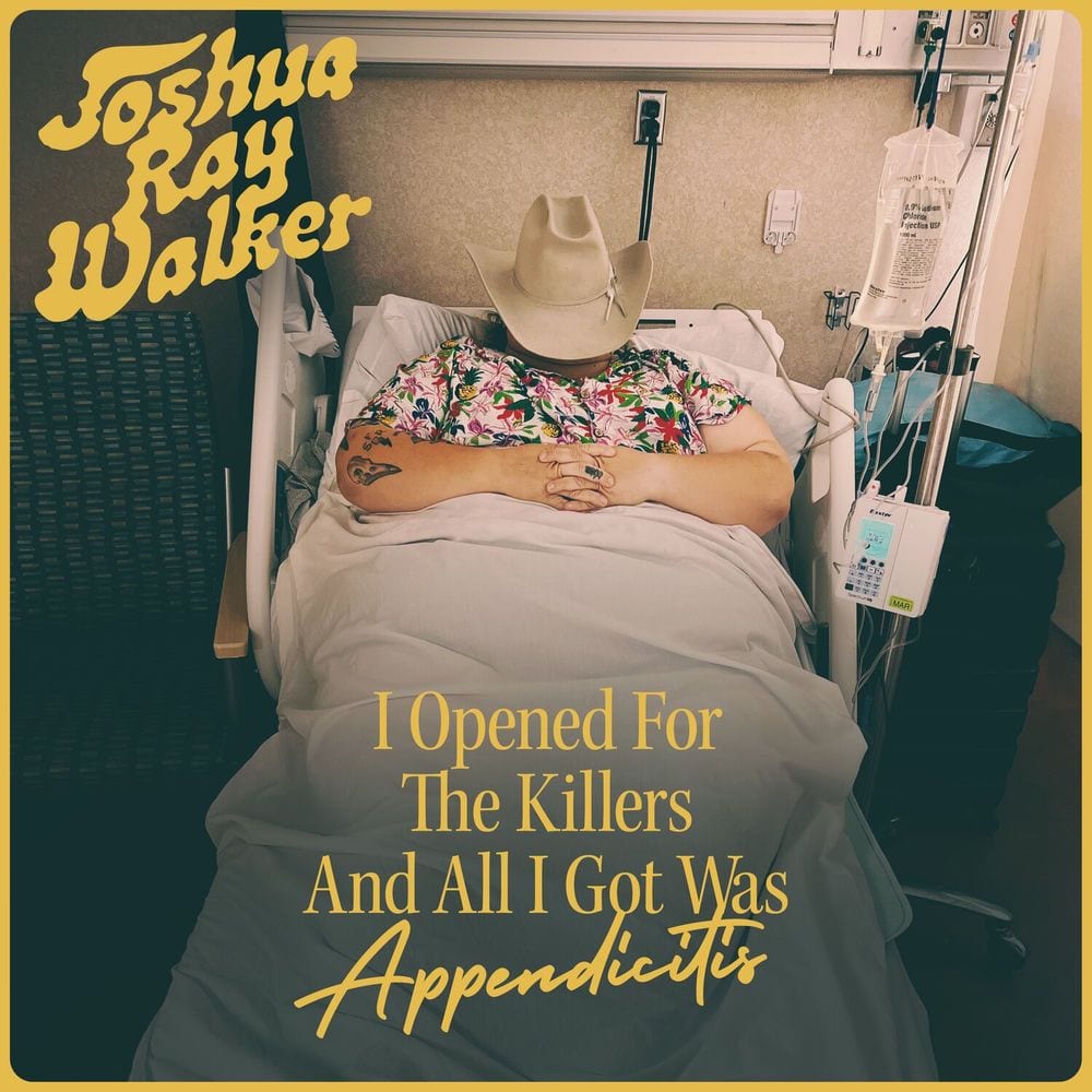 I Opened For The Killers And All I Got Was Appendicitis (Live) cover