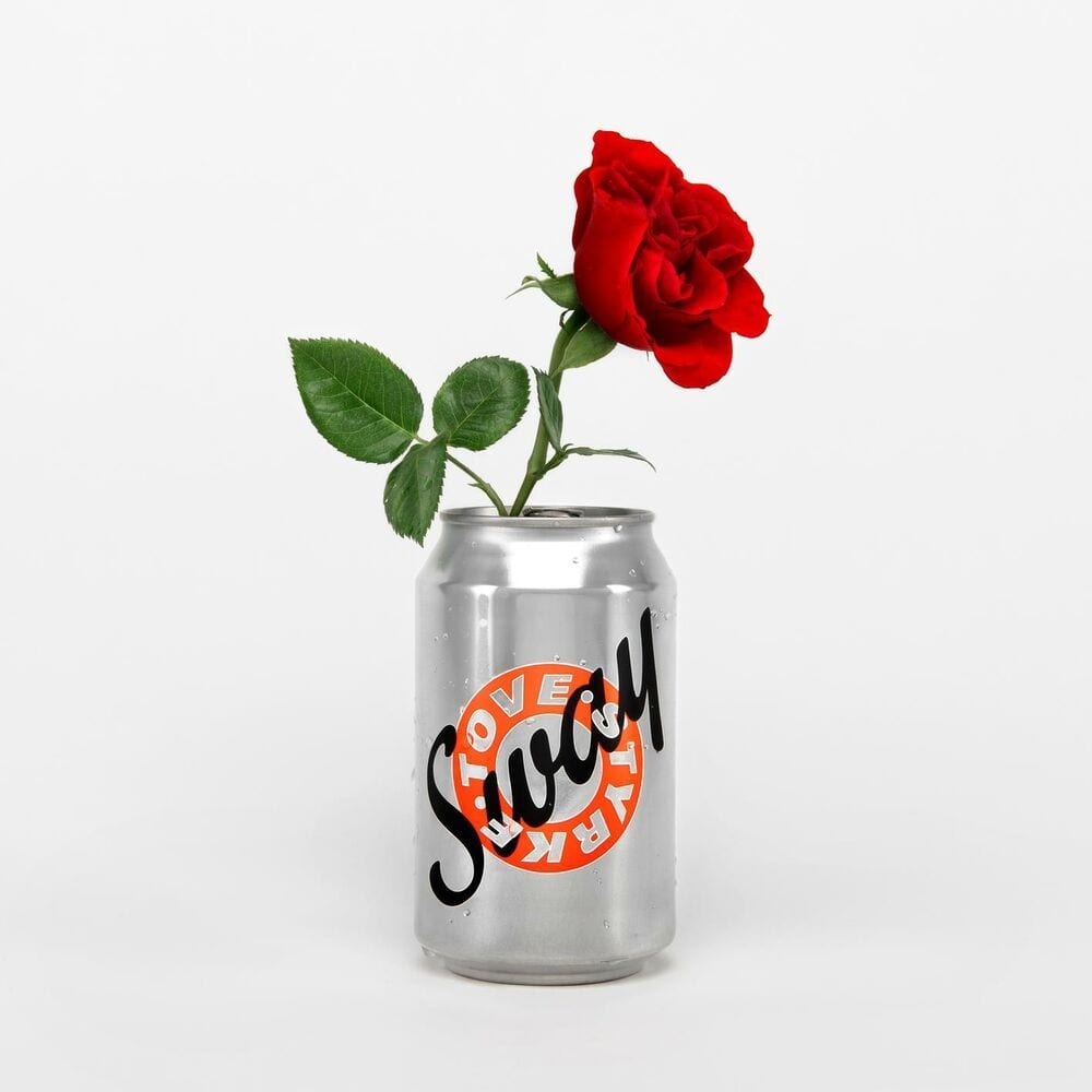 Sway cover