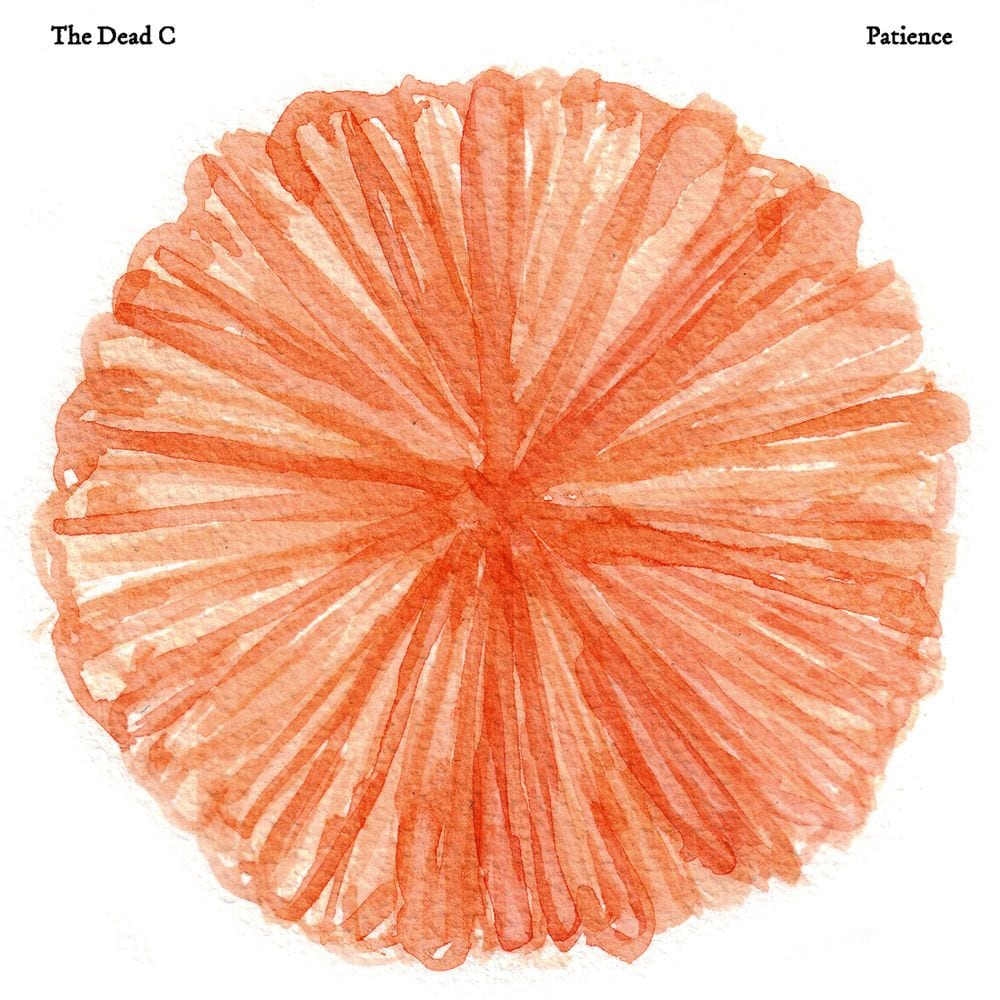 Patience cover