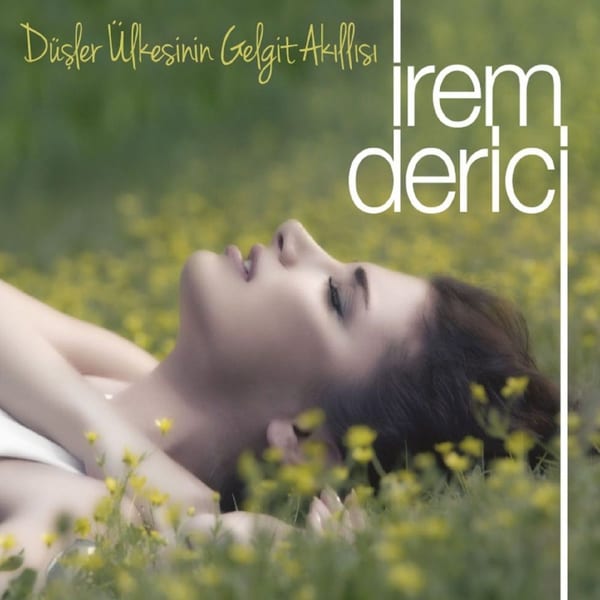 Düşler Ülkesinin Gelgit Akıllısı cover
