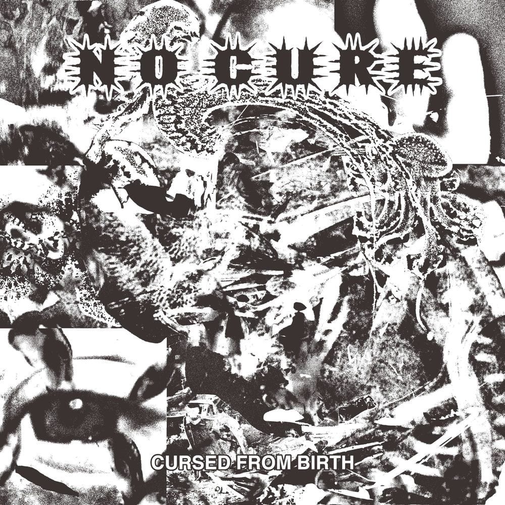 Cursed From Birth cover